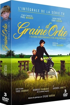 Graine d'ortie