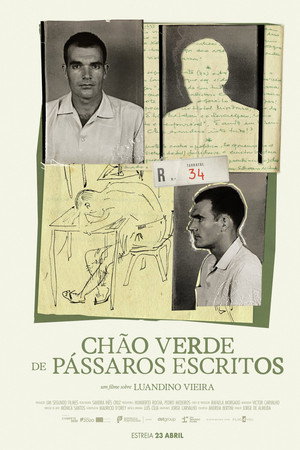 Chão Verde de Pássaros Escritos