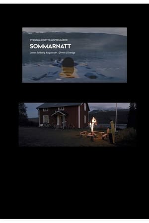 Sommarnatt