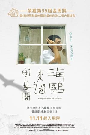 海鷗來過的房間