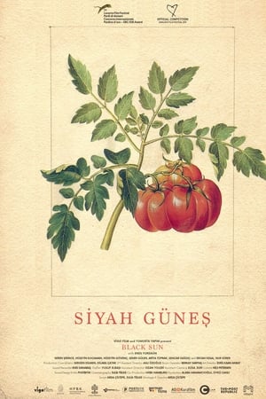 Siyah Güneş