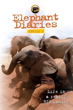 Elephant Diaries第2季