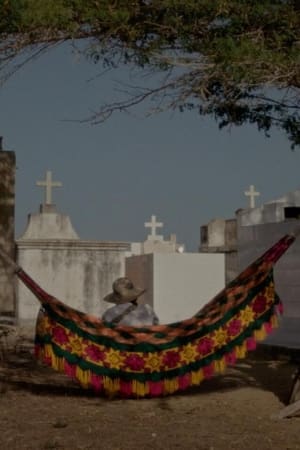 Los sueños viajan con el viento
