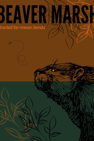 Beaver Marsh