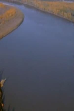 Footprints in the Delta