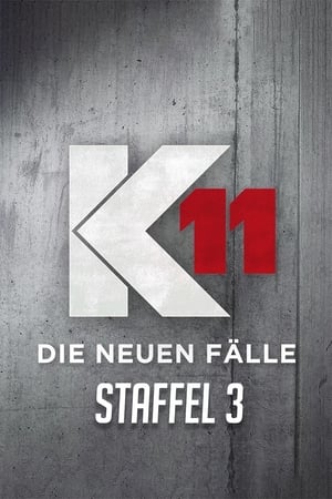 K11 - Die neuen Fälle第3季