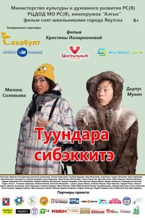 Туундара сибэккитэ