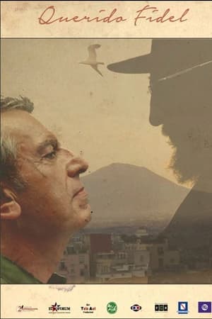 Querido Fidel
