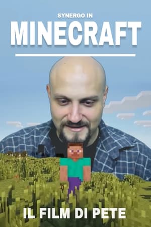 MINECRAFT - IL FILM DI PETE
