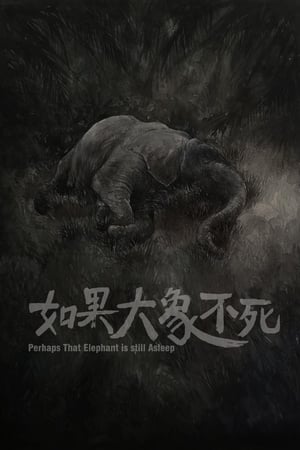 Perhaps That Elephant Is Still Asleep