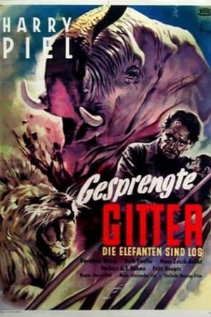 Gesprengte Gitter