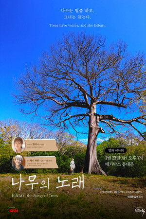 나무의 노래
