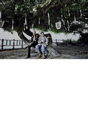 四十四只石狮子