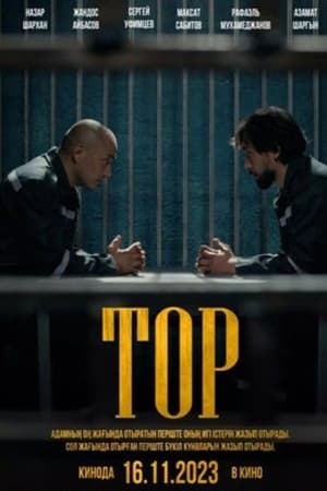Тор