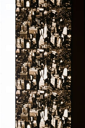 New York, Rome, Barcelona, Brussels