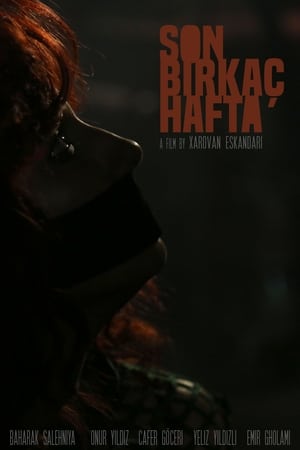 Son Birkaç Hafta