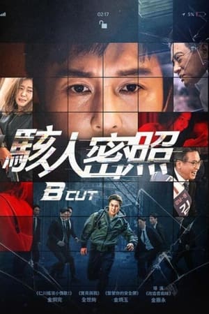 B级文件