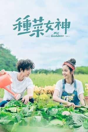 种菜女神