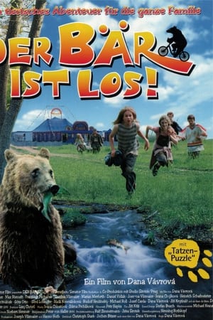 Der Bär ist los