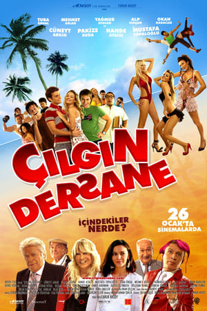 Çılgın Dersane