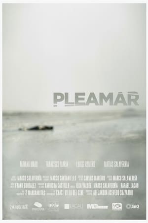 Pleamar