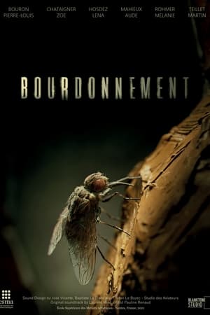 Bourdonnement