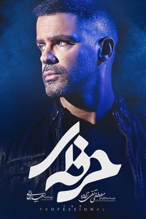 حرفه‌ای