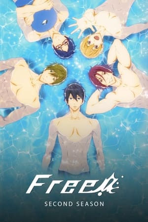Free！男子游泳部Free! -Eternal Summer-