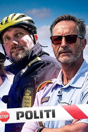 Det Politiet