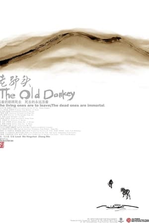 老驴头