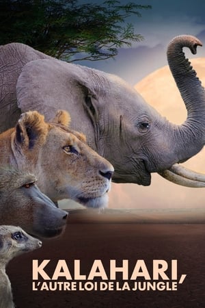 Kalahari: Land of Secret Alliances