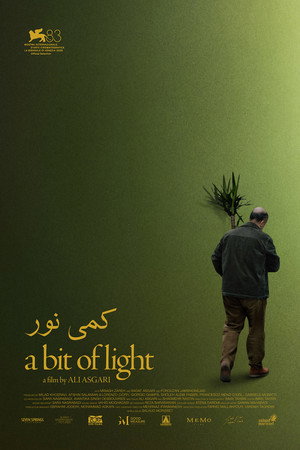 کمی نور