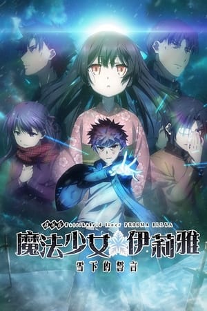 剧场版 Fate/kaleid liner 魔法少女☆伊莉雅 雪下的誓言