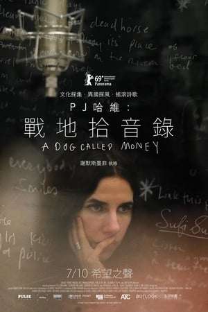 一只叫钱的狗
