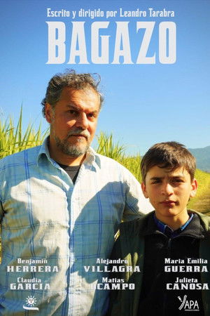 Bagazo