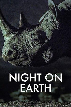 地球的夜晚