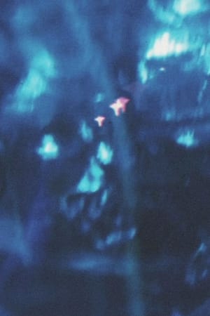 SURFACE