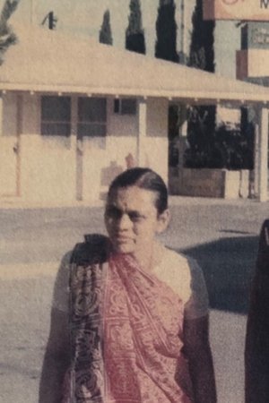 The Patel Motel Story