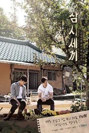 삼시세끼第3季