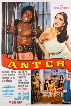 Anter Kara Ali