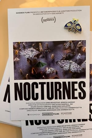 Nocturnes