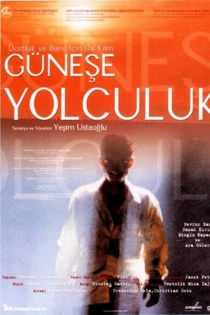 Güneşe Yolculuk