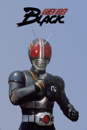 仮面ライダーBLACK