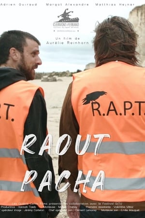Raout Pacha