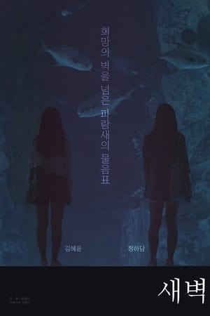 새벽
