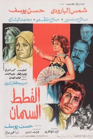 القطط السمان