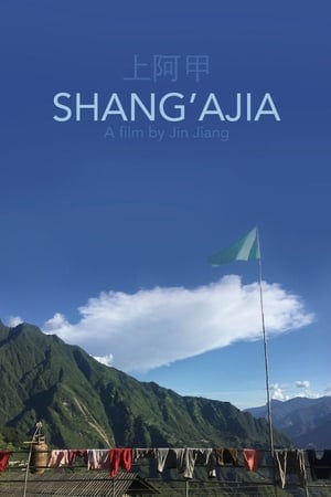 上阿甲