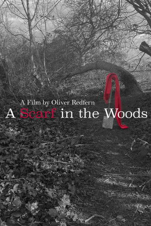 A Scarf In The Woods