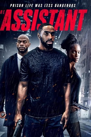 The Assistant