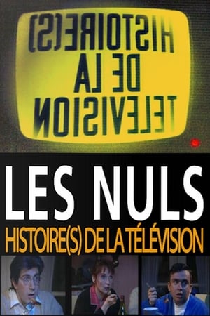 Histoire(s) de la télévision
